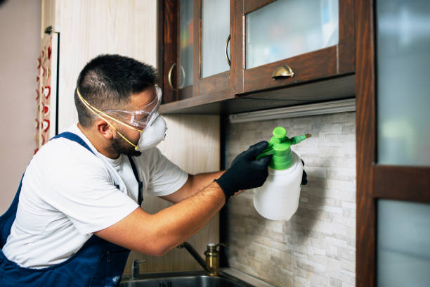 Best Pest Prevention Services  in De Leon Springs, FL